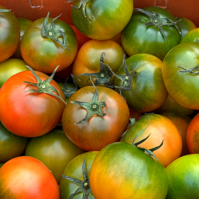 고당도 부산 대저토마토, 1개, 500g (3S~S)