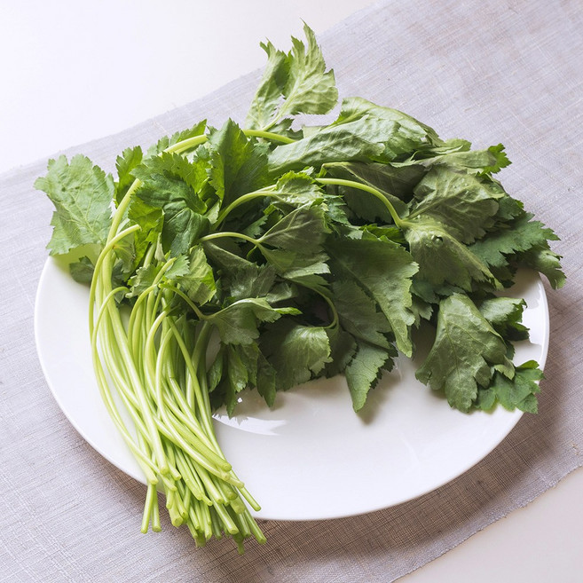 국내산 제철 생 참나물 봄나물, 200g, 1개