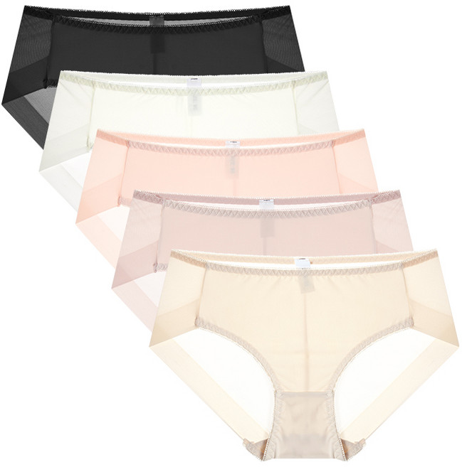 엘라운지 퍼펙트 스키니 노라인 햄팬티 5P