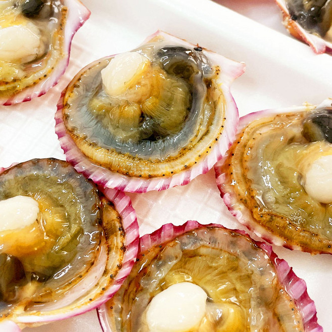 통영 제철 수산물 통영석화 제철석화 평일 당일출발, 홍가리비하프셀1팩, 1박스