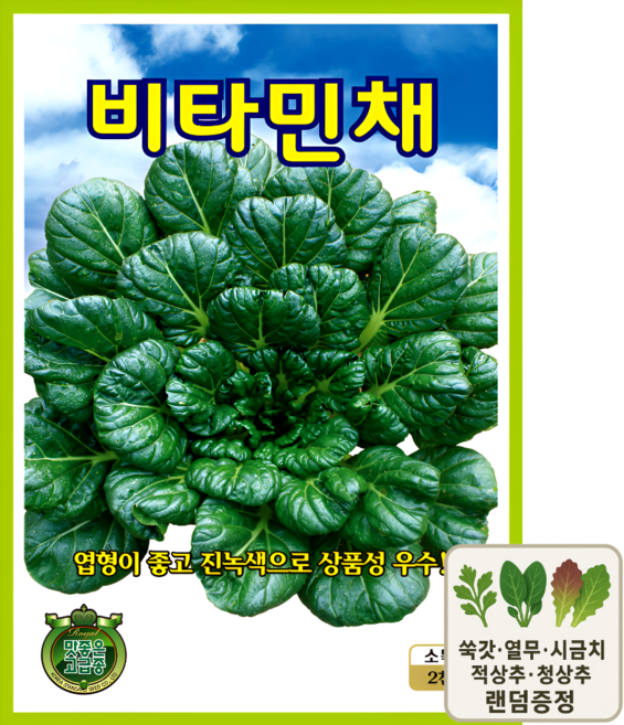 그린 비타민채 씨앗 2000립 봄가을 파종 엽채류 종자 ks