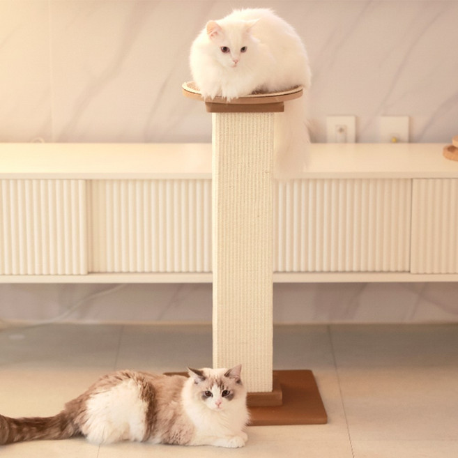 아토주 파우제 고양이 기둥 수직 스크래쳐 탑시트 포함, 1개, 원형 브라운 세트