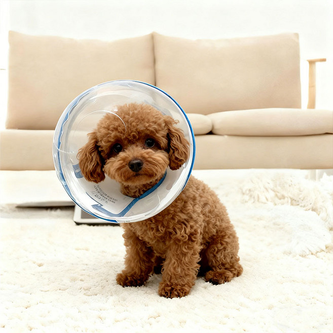 [대욱]애견 넥카라 강아지 핥기 방지 및 물기 방지 헤드기어 핥기 방지 목걸이 깊은 후드 목걸이, 1개, 파란색