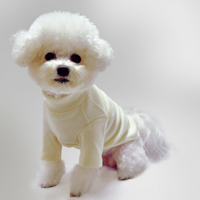 스타일독 로얄골지 반목티 강아지옷, 크림, 1개