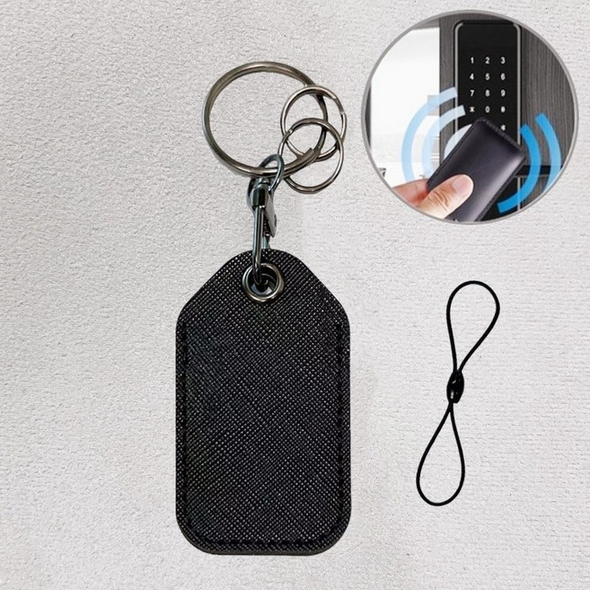 피치온 사피아노 가죽 도어락 카드키 케이스 아파트 현관문 키태그 터치키 키홀더, 1개, 블랙