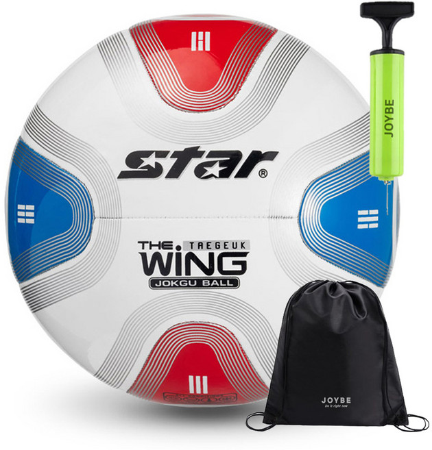 스타스포츠 족구공 더 윙 태극 플러스 (8판넬) (JB435), JB435 + JOYBE 공가방 & 펌프, 1개