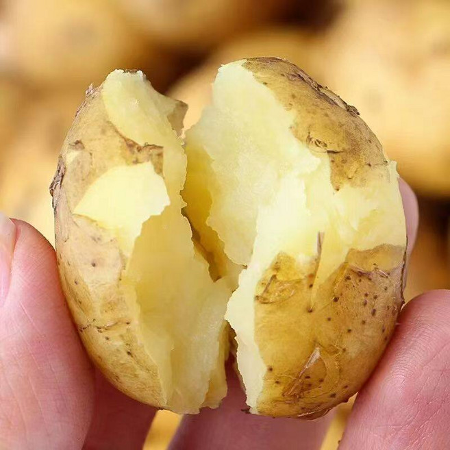 [초특가] 포슬포슬 수미감자 국내산 산지직송, 1박스, 3kg