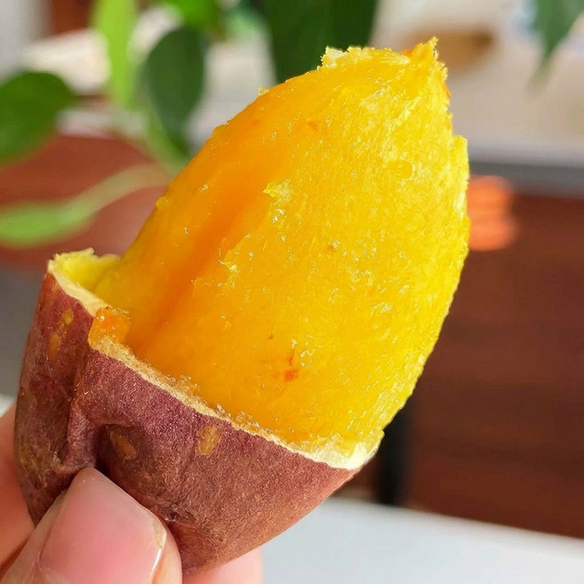 [산지인증] 농가직송 촉촉달콤 해남꿀고구마, 1박스, 1kg(한입)