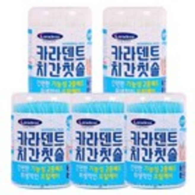 카라덴트 치간칫솔 웰터스 간편치간칫솔 300pcs, 5개, 300개입