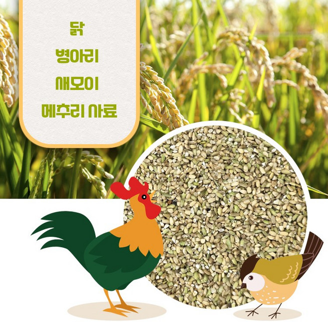 청치 소포장 모이 닭 병아리 비둘기 메추리 곡물모이, 1개, 1kg