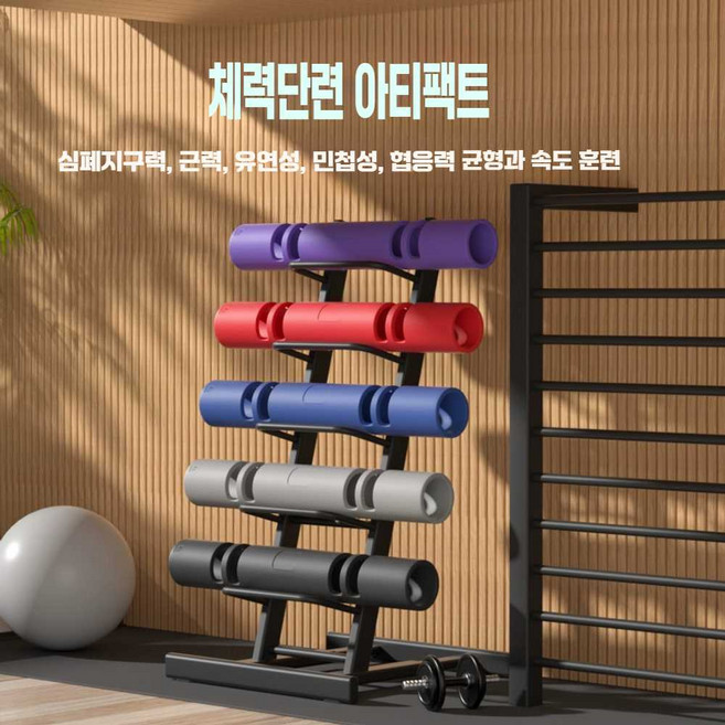 플러그피트니스 홈짐 바이퍼 Viper 코어 홈트레이닝, 1개, 녹색 6KG 초보자용