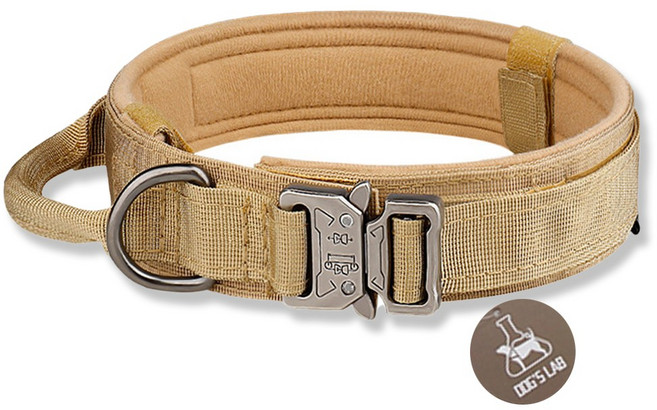 독스랩 중형견 대형견 컴포트 목줄 버클형, 1개, 라이트브라운(LB)