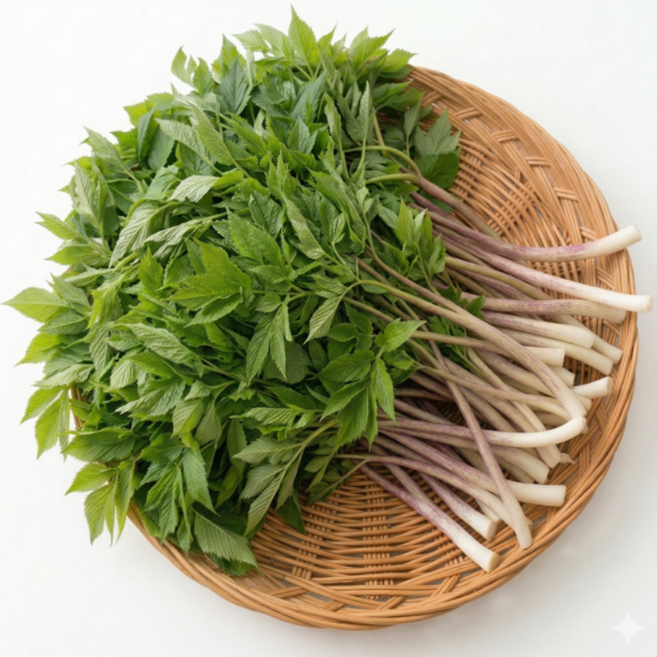 [더에셀팜] 입안가득쫄깃 프리미엄 봄나물 눈개승마, 1박스, 200g