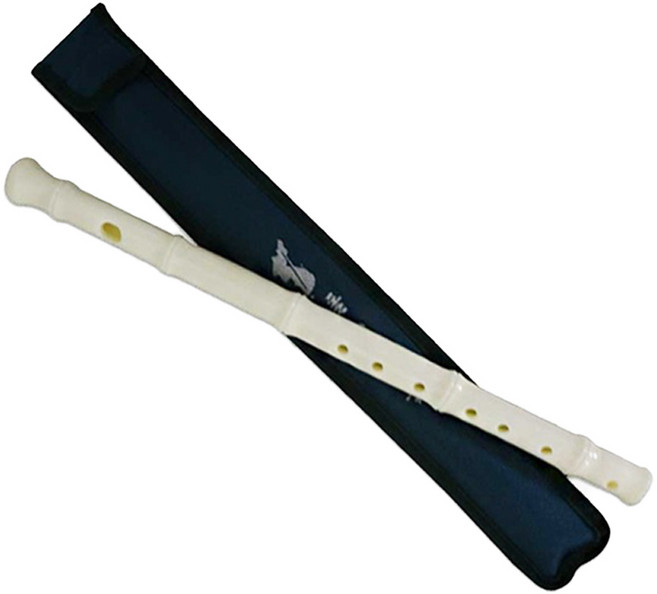 박희덕교수 플라스틱 돌기소금 교재용 국악기, 1개