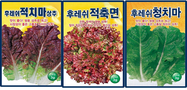후레쉬 적치마 청치마 적축면 상추씨앗 3종세트 키우기 쉬운 채소 상추씨 가성비 세트, 1개