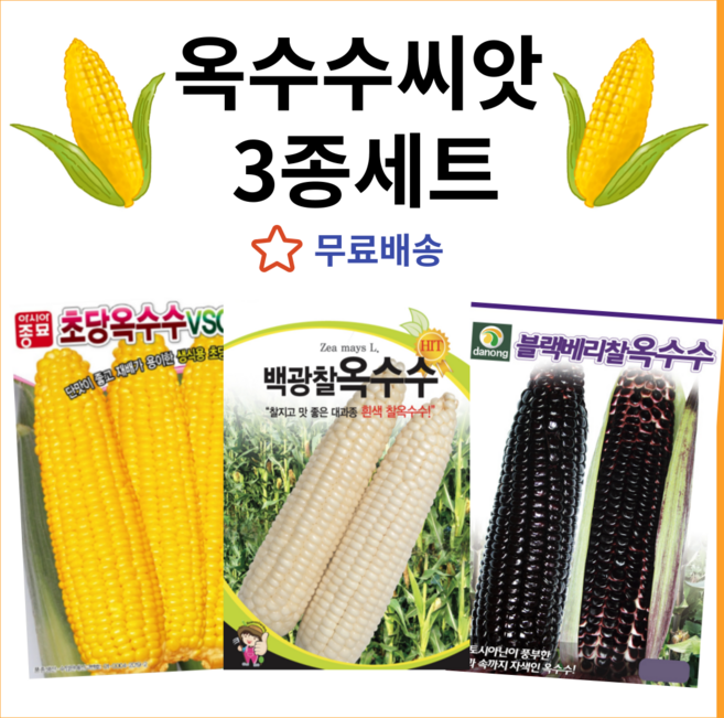 주주씨앗 옥수수씨앗3종세트 초당옥수수 종자 찰옥수수 블랙베리 찰옥수수 자색옥수수 씨 봄 여름 가을 채소 씨앗, 1개