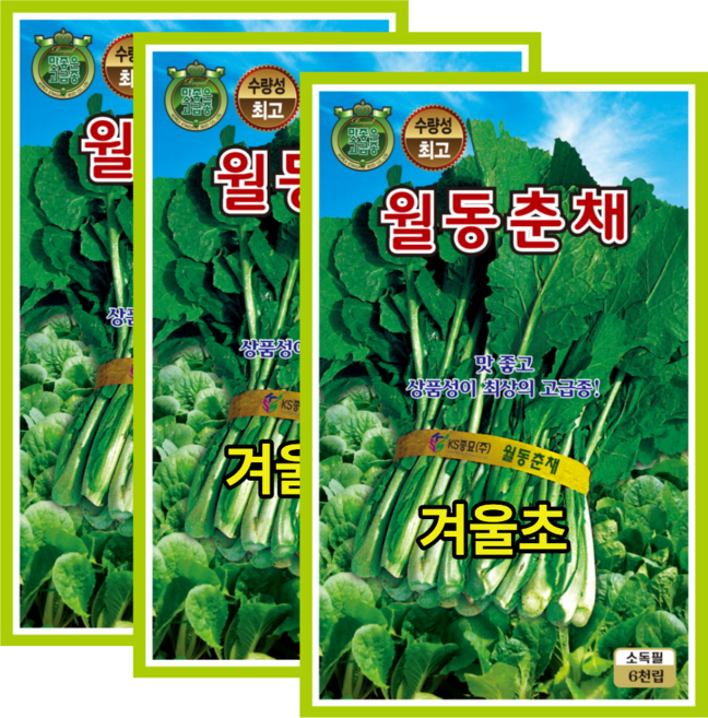 춘채씨앗 3개 겨울초씨앗 유채나물 씨앗 종자