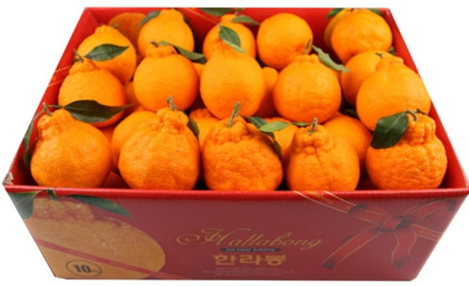 꼬마한라봉 10kg (중과 48~55과), 1개