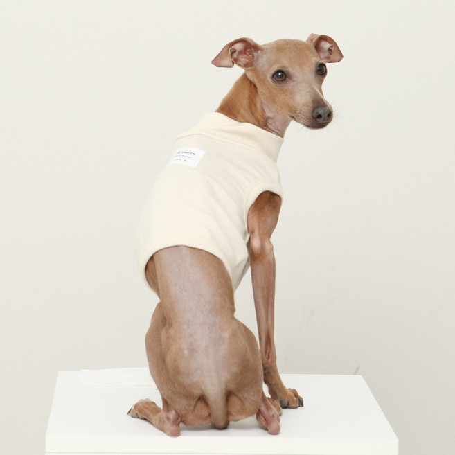 도기스타 아이쥐옷 이탈리안그레이하운드옷 봄 여름 크롭티, 베이지, 1개