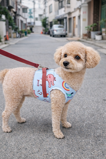 [푸들나무] 컬러팝 레인보우 하네스 세트 (리드줄포함), 1개, 레드