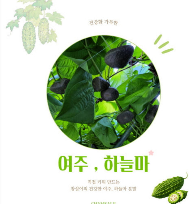 참살이건강원 국내산 하늘마 분말 가루, 1개, 130g