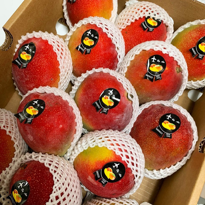 초고당도 PU 프리미엄 달콤하고 신선한 애플망고 특대과 (페루산), 1개, 특대과 20과