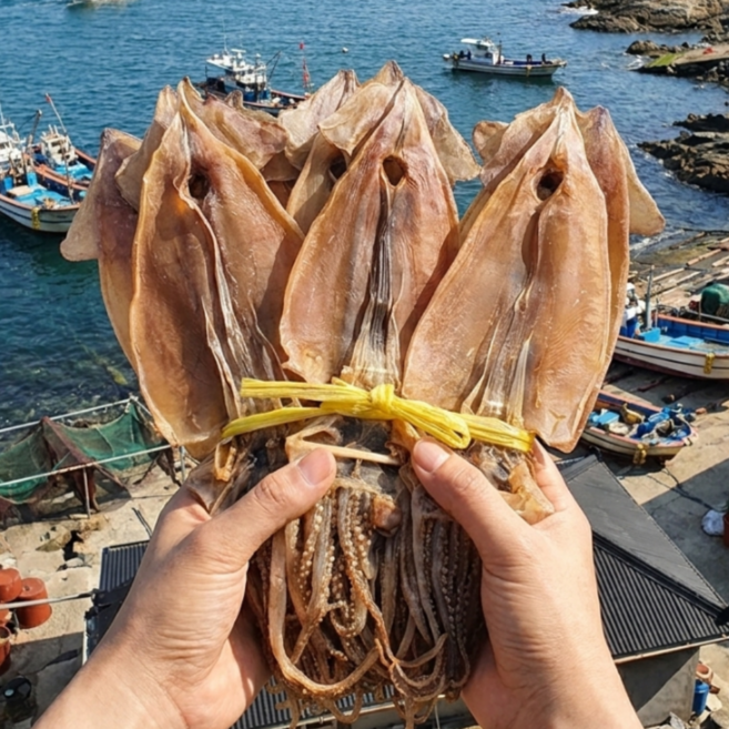 마른오징어 국내산, 1개, 750g 10미 (원양산)
