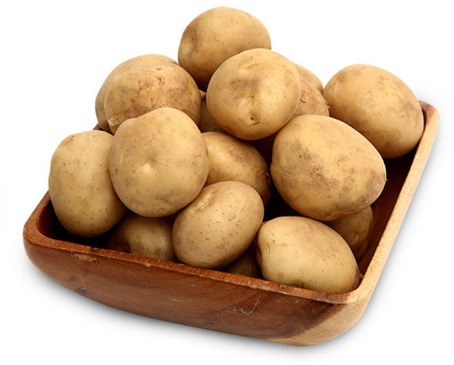 국내산 햇 감자, 5kg(중), 1개