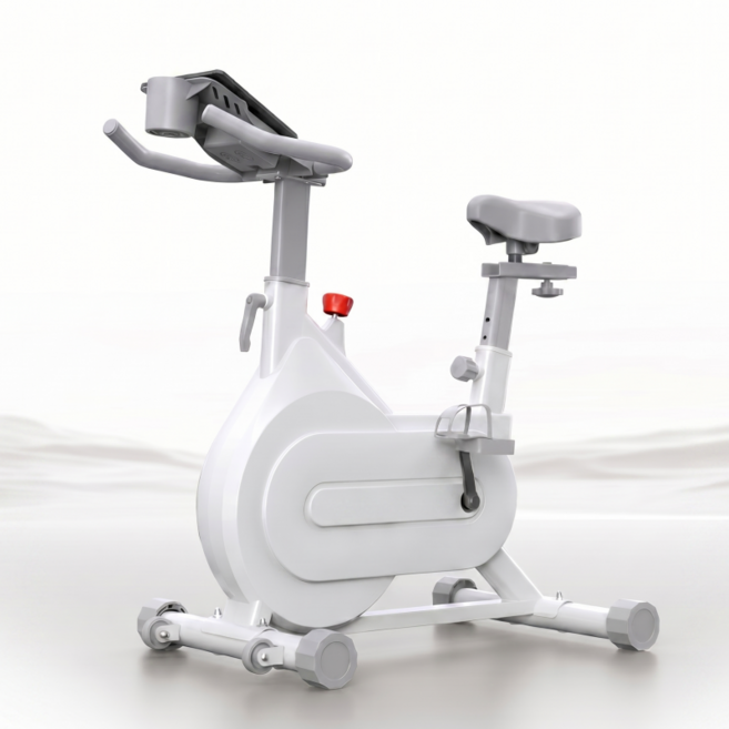가정용 실내 자전거 유산소 운동기구 나혼자산다 나혼산 무소음 마그네틱 헬스사이클, 화이트, QMA66