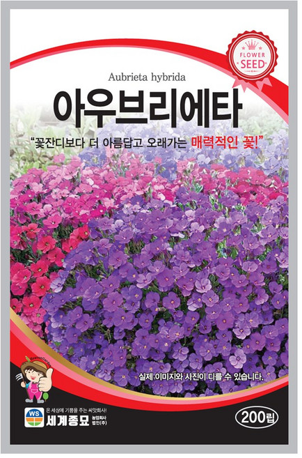 아우브리에타 꽃잔디 씨앗 200립 일년생 혼합종 종자 화단 조경용, 1개