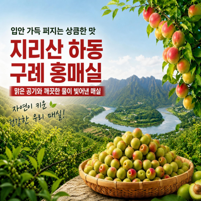 7위 - 지리산과 섬진강 남도의 자연이 키운 명품 홍매실, 1박스, 5kg(왕특)