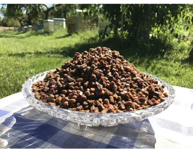 Fresh 100% Bee Bread Perga Ambrosia Naturally Fermented Pollen 1.76 Ounce / 50g. Excellent Qu, Fresh 100% Bee Bread, Perga, A, 50g, 1개 - 쿠팡