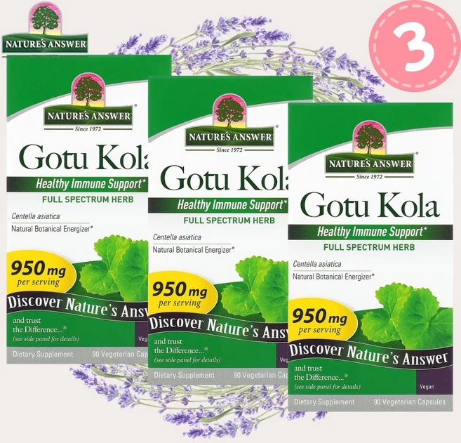 Nature's Answer 천연 허브 고투 콜라 추출 475mg Gotu Kola, 3개, 90정 - 쿠팡