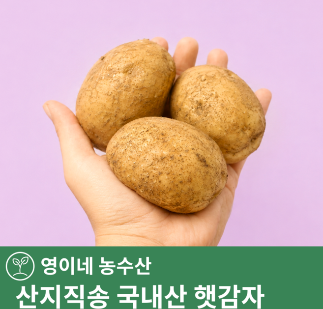 [산지직송] 국내산 수미 햇감자 고품질, 1박스, 대 5kg