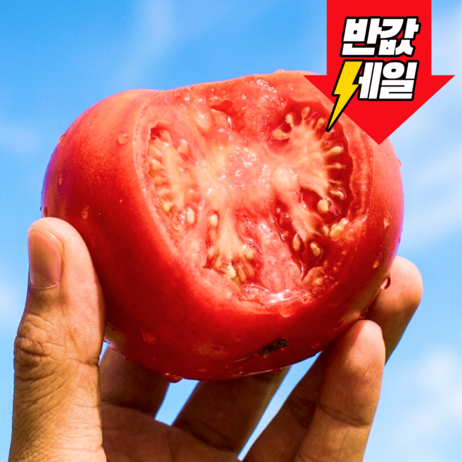 [반값세일] 딱100명만 과즙끝판왕 특품 완숙토마토, 1개, 10kg