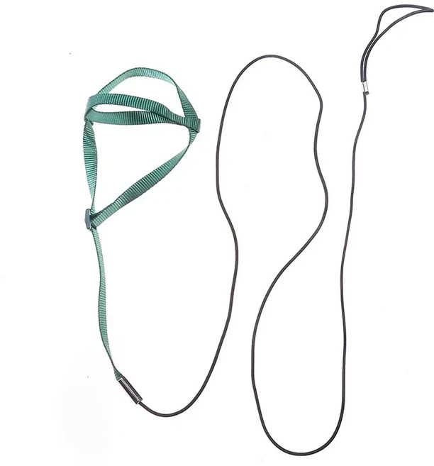 호환 물린 방지 앵무새 하네스 가죽 끈 훈련 밧줄 애완 동물 새를위한 새 비행 내구성, 01 L, 02 green, 1개