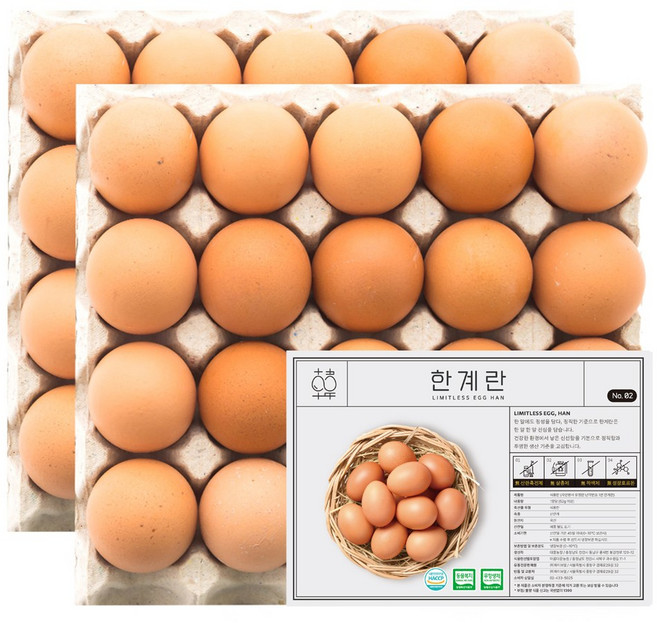 한계란 무항생제 동물복지 유정란 계란, 1개, 40구