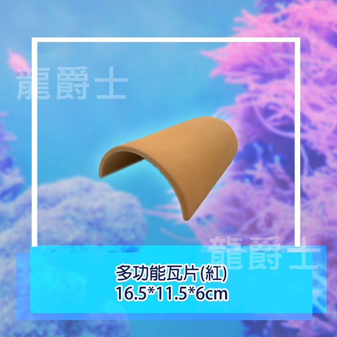 龍爵士水族 多功能瓦片 魚缸裝飾, 1個, 多功能瓦片(黑)