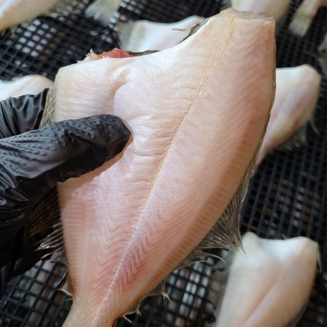 동해 국내산 저염 반건조 참가자미 소 중 대 사이즈, 1개, 반건조참가자미_소 900g내외(10~12마리)_팩포장