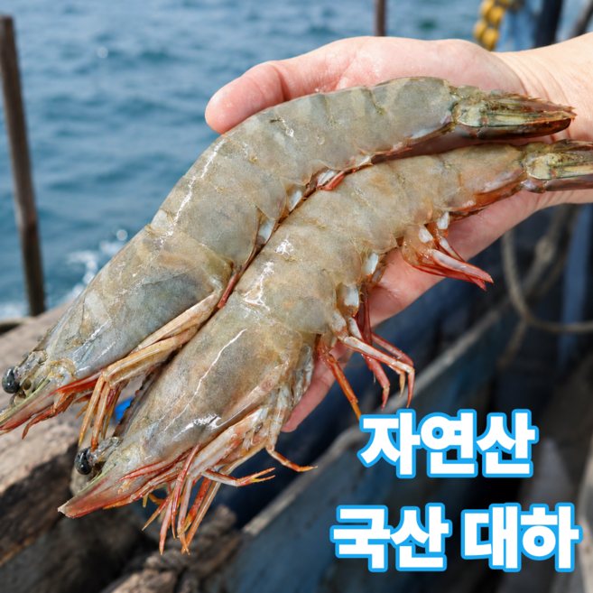 2위 - [특A급] 자연산 대하 국내산 왕새우 구이용, 1박스, 특대 1kg 품절임박