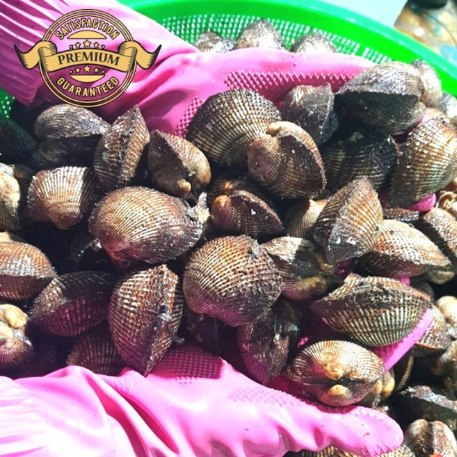 [재구매율이 높은 벌교 피꼬막] 국내산 벌교 피꼬막 활 피꼬막 새벽 채취한 활 피꼬막 피조개 피꼬막, 1개, 8kg