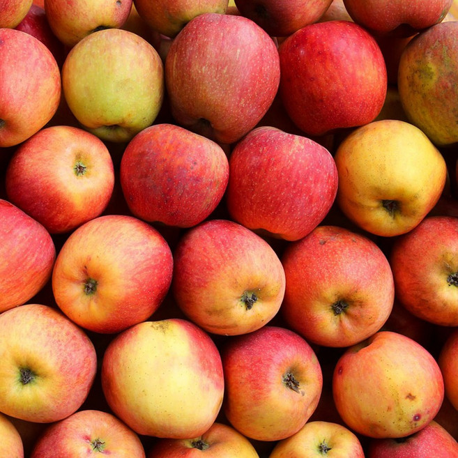 [최저가특가] 50박스한정 우수농가 벌꿀부사 꿀사과, 1박스, 2kg