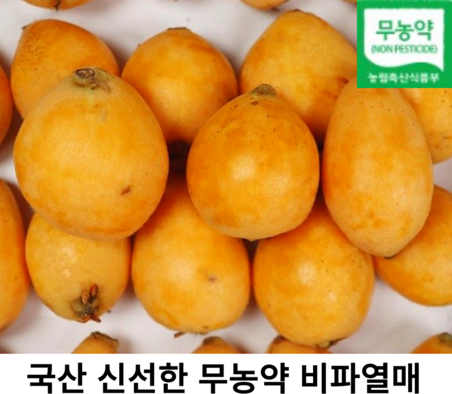 국내산 유기농 비파열매 비파 국산 생과 비파 친환경 햇비파 비파생과, 1개, 500g