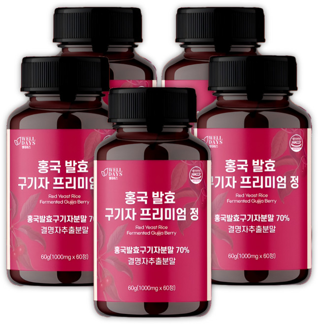 웰데이즈 홍국 발효 구기자 정 1000mg, 5개, 60정