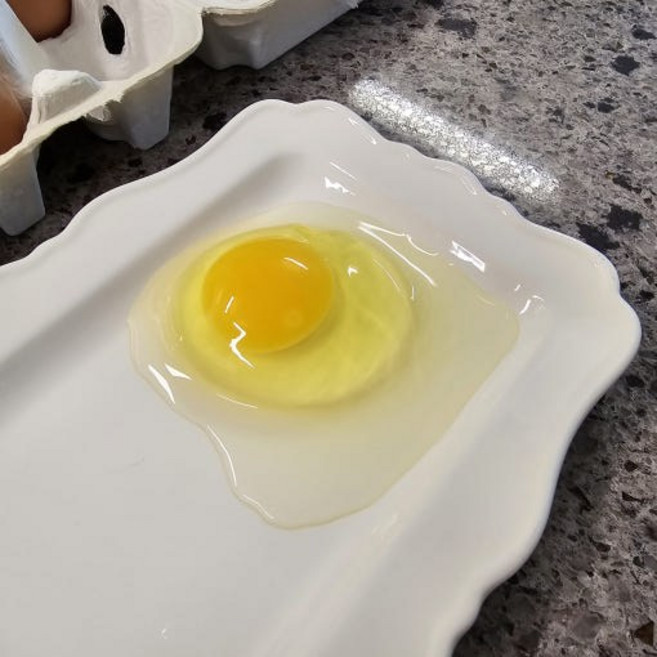 무항생제 유정란 달걀 계란 난각번호2번, 1개, 10구