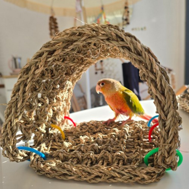해초 매트 앵무새 해먹 놀이터 그네 장난감 새용품 횃대 평상, 1개, 해초터널
