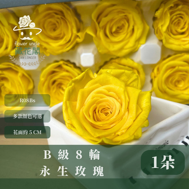 R08Bs B級八輪永生玫瑰 5cm單朵 永生花 不凋花 花藝材料