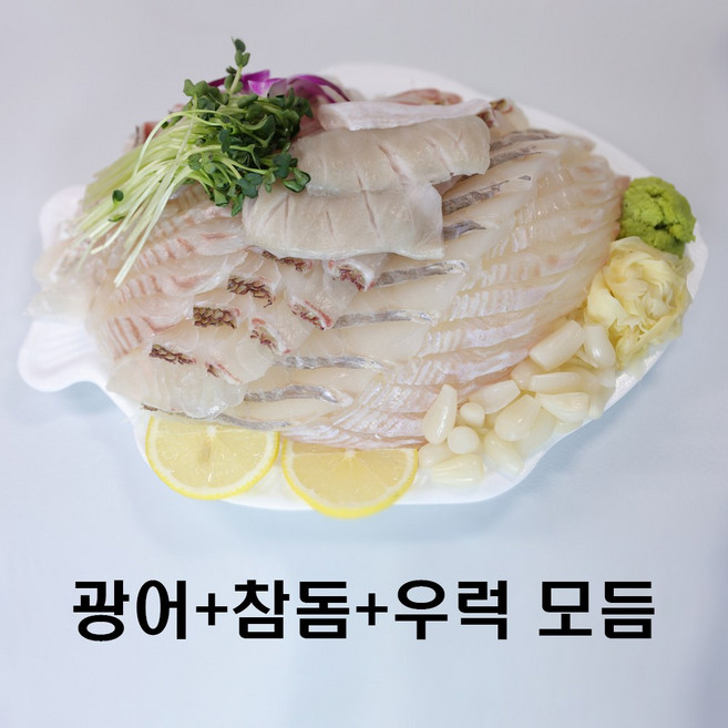 가락시장 노다지수산 [광어+우럭] 스페셜 모듬회, 1세트, 중(3인분, 700g)