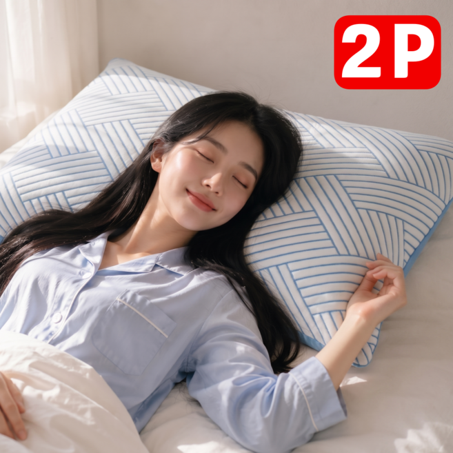 하네스트 아이스 쿨링 냉감 베개커버 여름 시원한 베개커버 2P