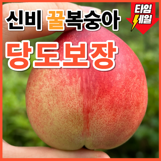 [시즌특가] 고당도보장 달콤아삭 산지직송 신비복숭아, 1개, 1kg
